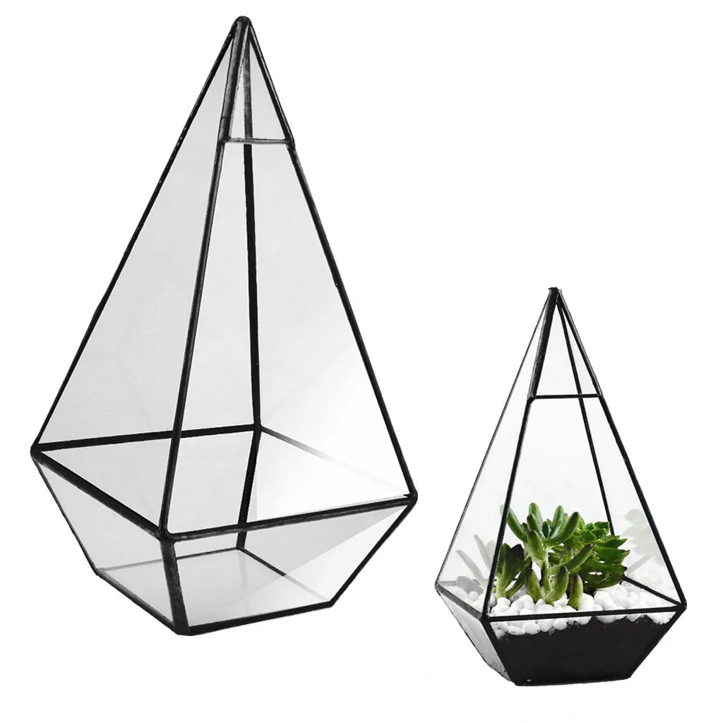 Geometric Succulents Terrarium